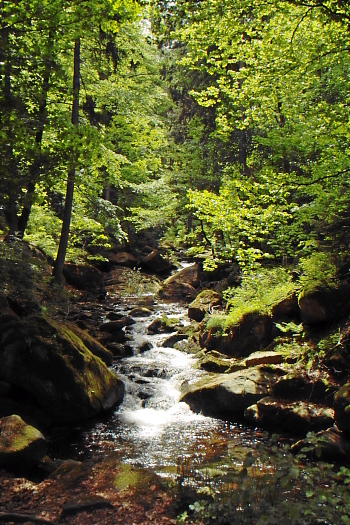 Ilsefälle im Harz