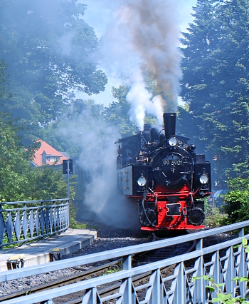Schmalspurbahn im Harz - endlich wieder Dampflock fahren