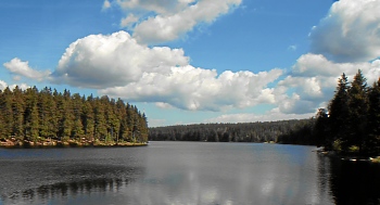 Seenlandschaft im Harz